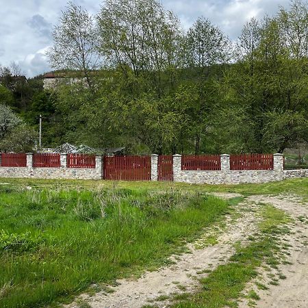 Готель La Gradina Mehadia Екстер'єр фото