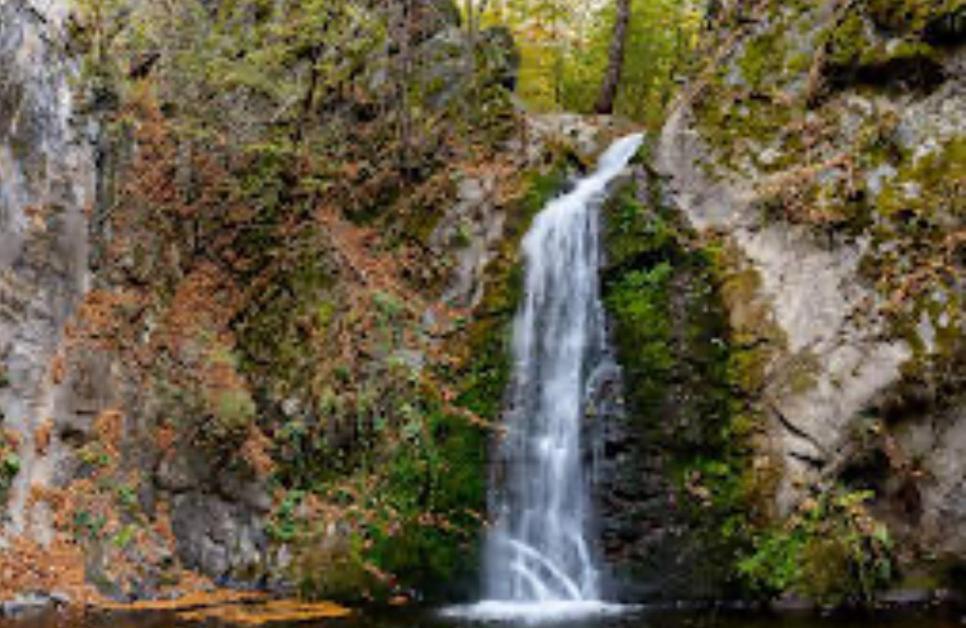 Готель La Gradina Mehadia Екстер'єр фото