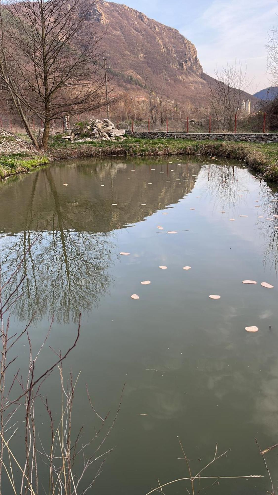 Готель La Gradina Mehadia Екстер'єр фото